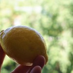 02 lemon 02 lemon